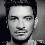 07-12-2011 - columbia_sony stefan - david_pfeffer - cover - 2.jpg